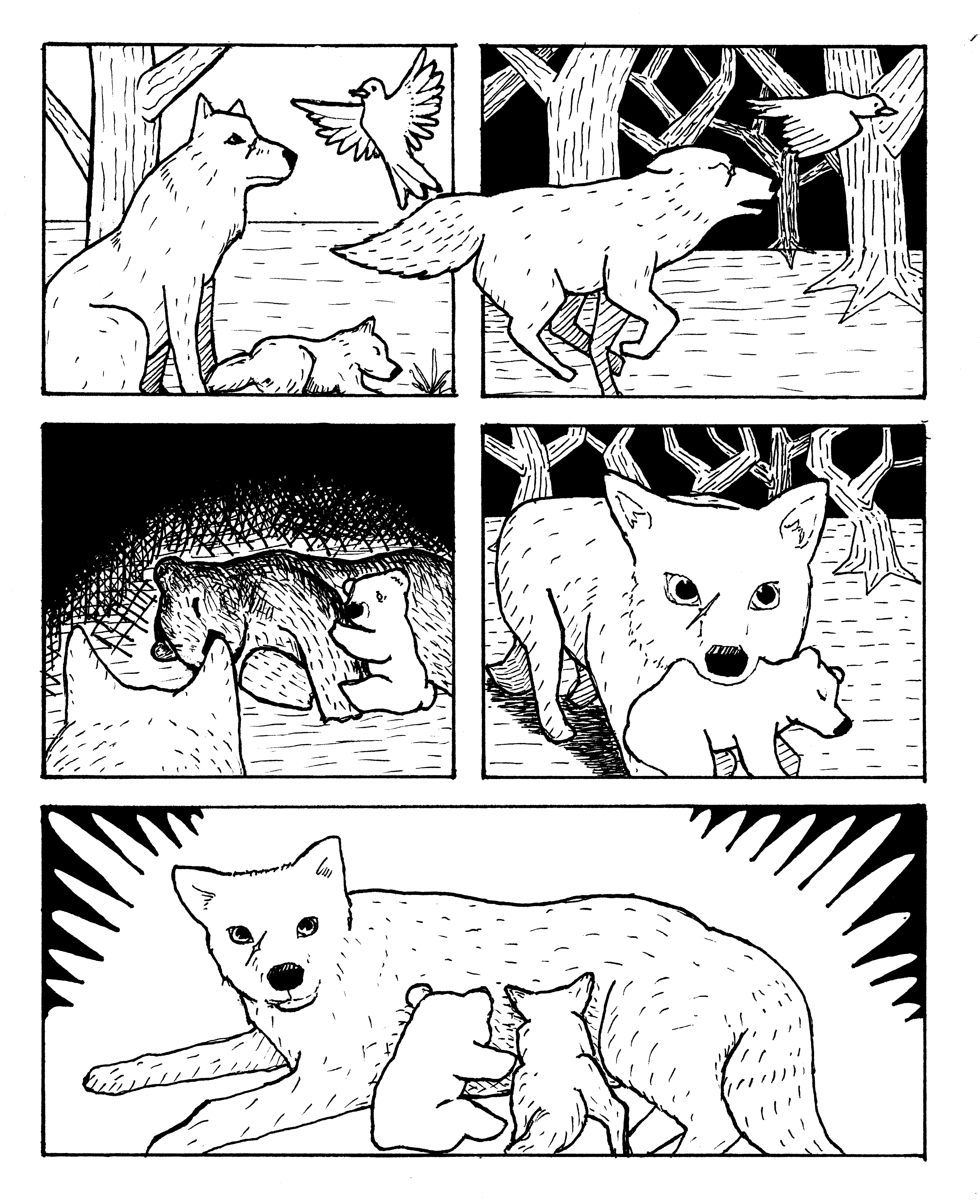 Panel 1: An adult wolf with a scar over one eye recieves a message from a bird while watching over her pup. Panel 2: The wolf runs into the forest, following the bird. Panel 3: The wolf sees a bear cub crying over the prone body of his mother in their cave. Panel 4: The wolf walks away from the cave with the bear cub in her mouth. Panel 5: The bear cub and the wolf pup both suckle at the teats of the mother wolf.